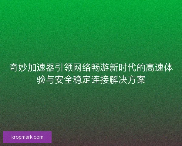 奇妙加速器引领网络畅游新时代的高速体验与安全稳定连接解决方案