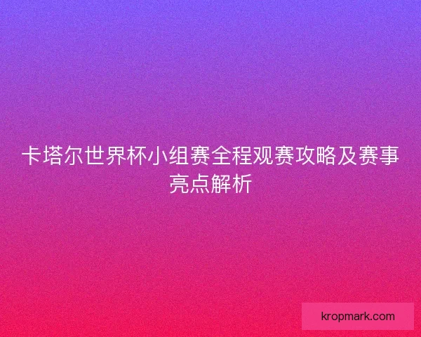 卡塔尔世界杯小组赛全程观赛攻略及赛事亮点解析